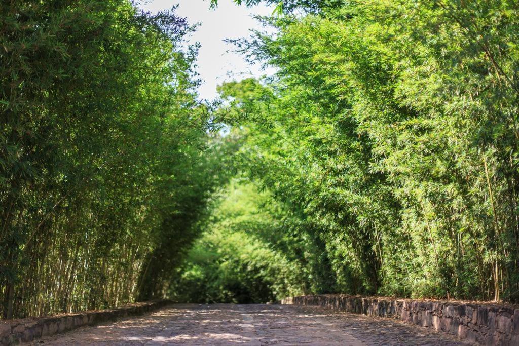 Pousada Bosque Do Lapao Lencois Esterno foto